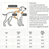 Diagram showing measurements for a dog's fit, including chest, neck, and back length, with sizes S through XL