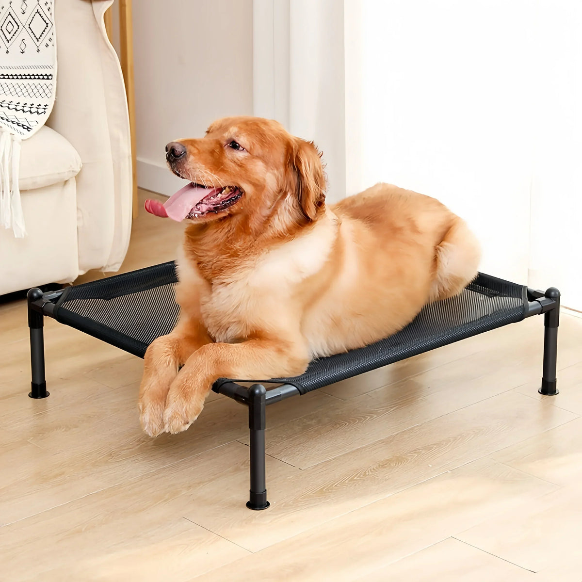 A golden retriever dog is lying on a black portable folding pet bed with a removable cover.