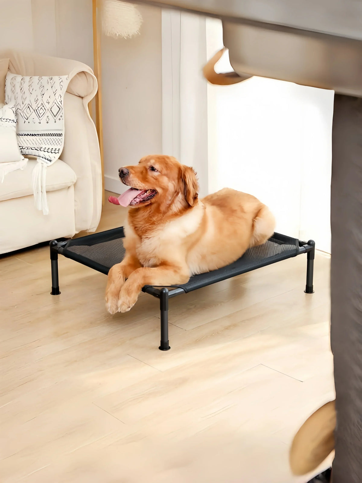 A golden retriever dog is relaxing on a black portable folding pet bed indoors.