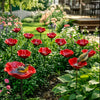 A vibrant red flower with a small bird perched on it in a garden setting.