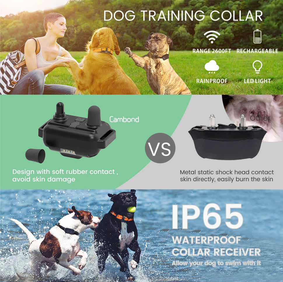 A dog training collar is shown with a receiver unit and a separate head contact, demonstrating its waterproof features.