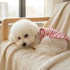 Un cachorro blanco esponjoso con un vestido rosa de volantes descansando en una manta beige junto a una ventana.