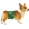 A light brown and white dog wearing a green sanitary wrap for male dogs.