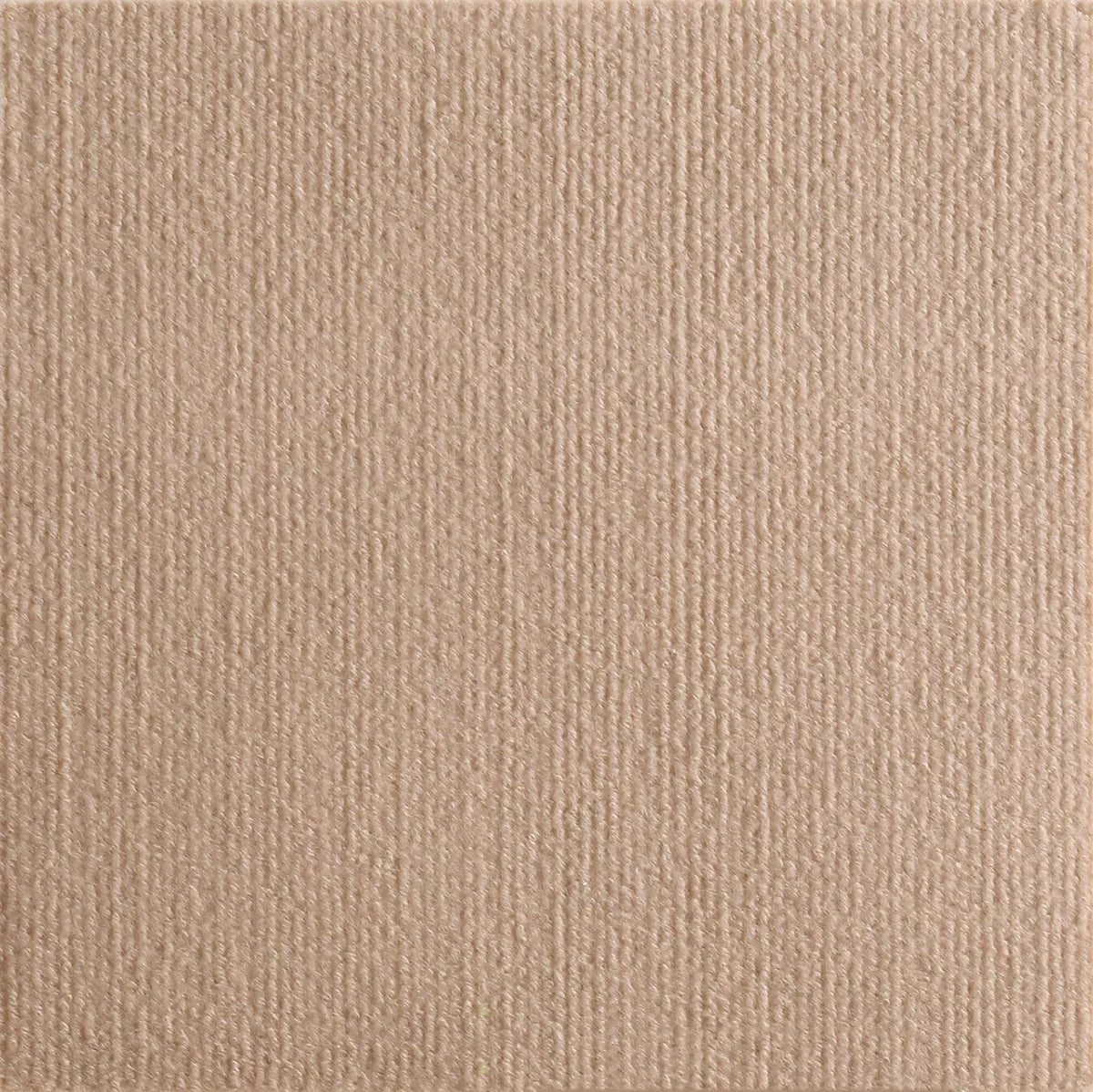 A close-up texture of a beige self-adhesive cat scratching mat for furniture protection.