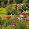 A close-up of a stainless steel bird feeder filled with colorful seeds and birds in a lush garden setting.