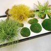 Miniature de jardin avec des graminées et de la mousse jaune vif et vert dans un plateau.