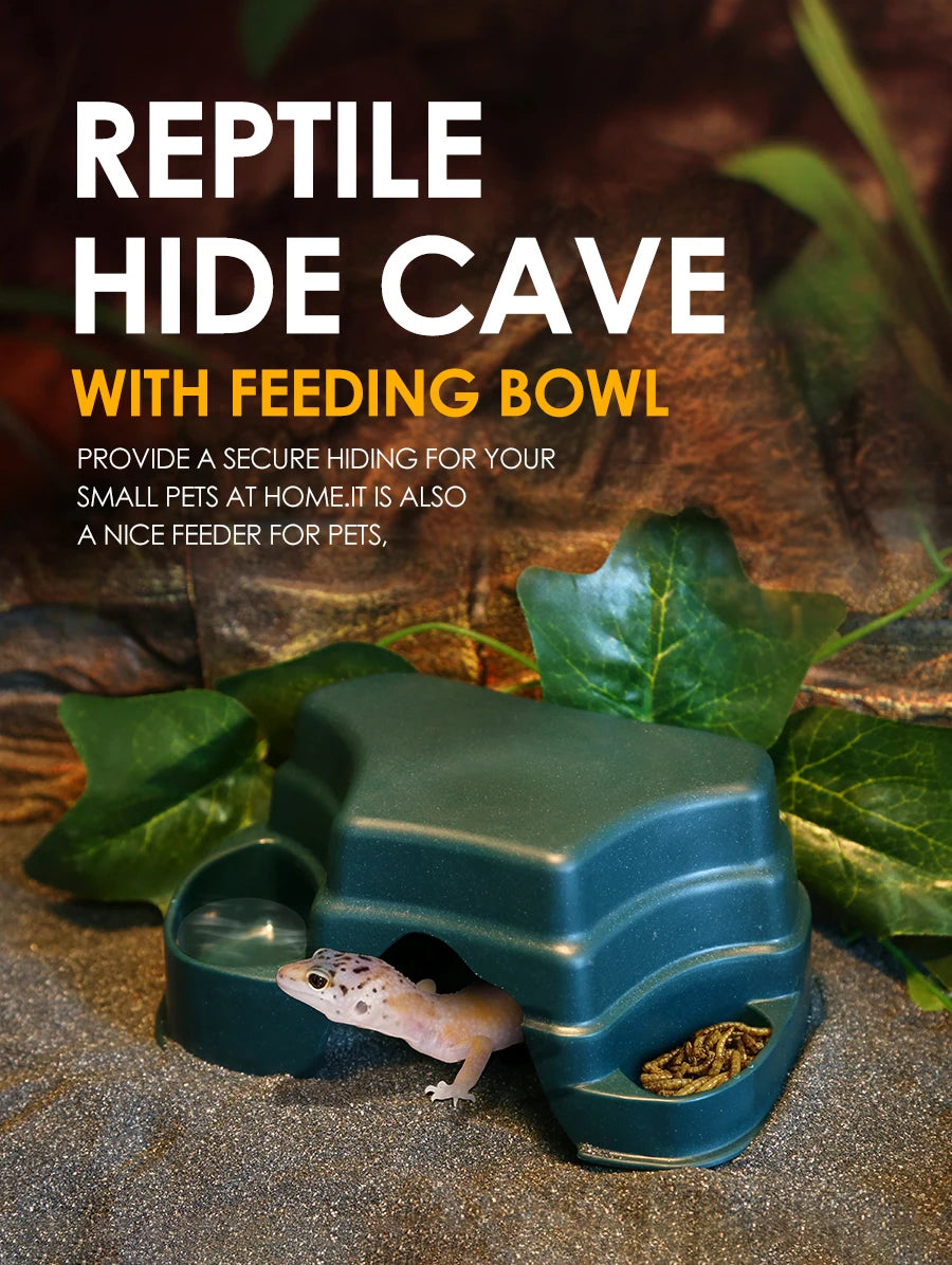 A reptile hide cave with a feeding bowl is shown, featuring a small lizard inside the enclosure.