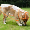 Un chien brun clair porte un imperméable transparent avec bordure orange, debout sur de l'herbe verte sous la pluie.