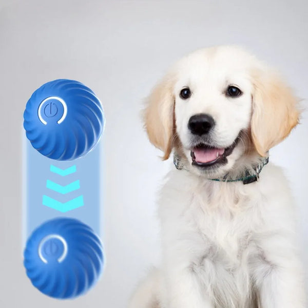 A light-colored dog is looking at a blue electronic pet ball toy with an activation button and a corresponding blue indicator