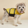 Un chien moelleux portant un gilet de sauvetage jaune réfléchissant pour la baignade et la sécurité.