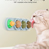 A cat is licking a rotating toy made of edible catnip balls for dental health and play.