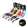 Una colección de correas reflectantes para perros de uso rudo en varios colores y longitudes.