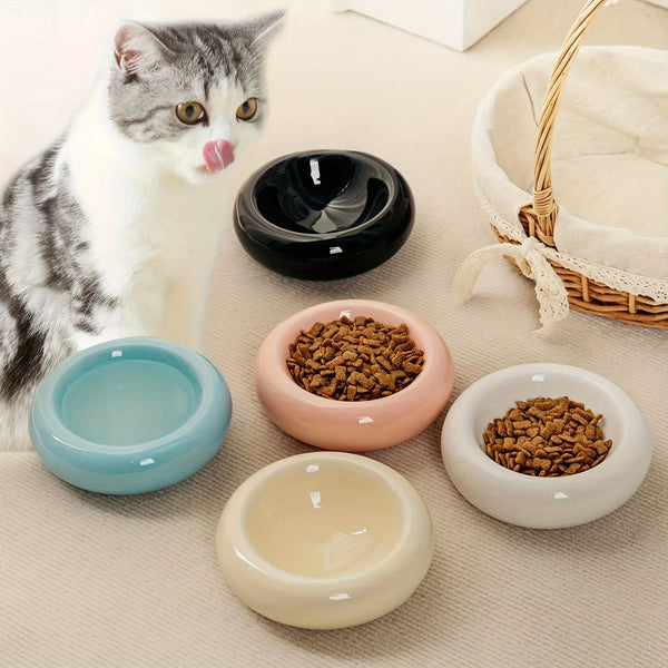 A domestic cat looks at a collection of ceramic pet bowls in various pastel colors and textures.
