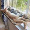 A ginger and white cat is relaxing in an aerial hammock pet bed near a window.