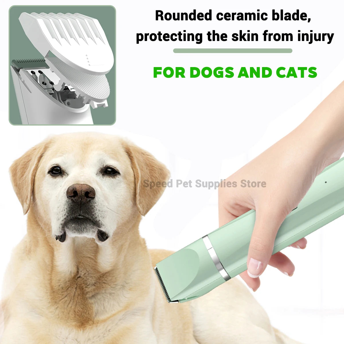 A hand is holding a light green pet grooming tool, with a dog looking at the camera.
