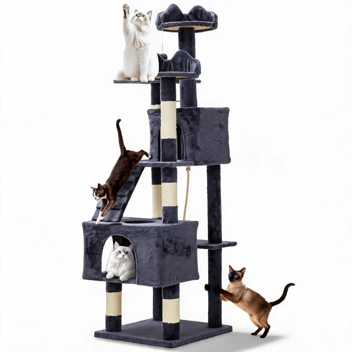 A multi-level cat tree with scratching posts is shown, featuring a white cat and an orange tabby cat.