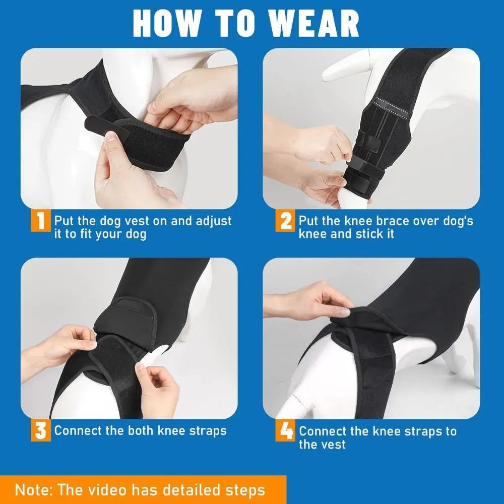 Instructions showing how to wear an adjustable dog knee brace vest and connect the knee straps