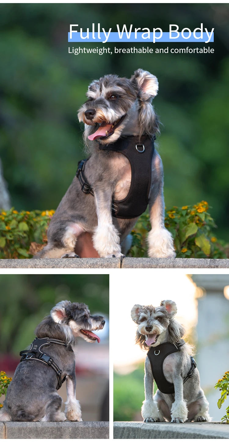 A dog wearing a black harness is sitting outdoors, demonstrating the fully wrap body design.