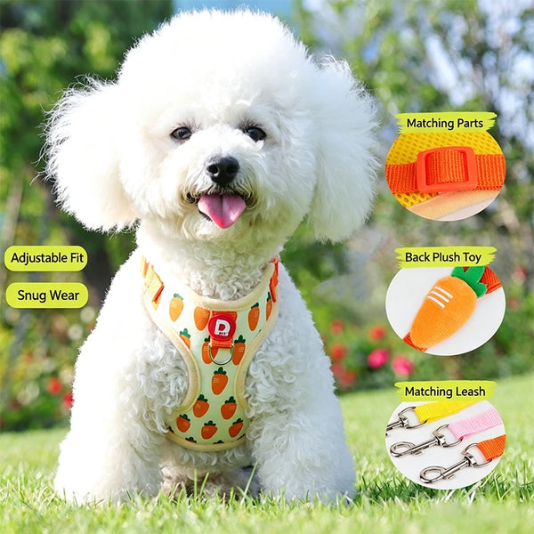 A white poodle wearing an adjustable pet harness and leash set with matching parts.