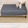 A white dog is standing on a gray pet pee pad placed on a light-colored sofa.