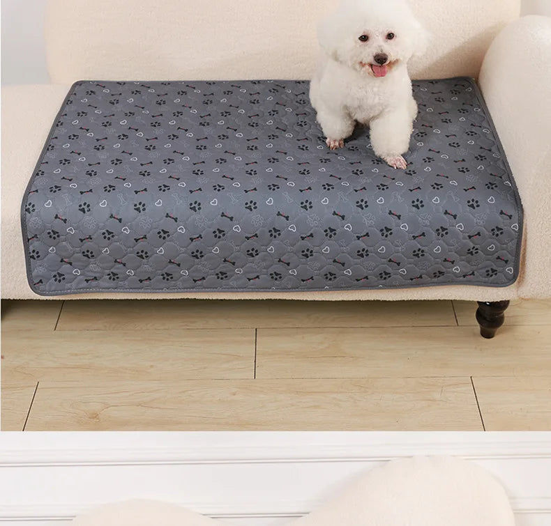 A white dog is standing on a gray pet pee pad placed on a light-colored sofa.