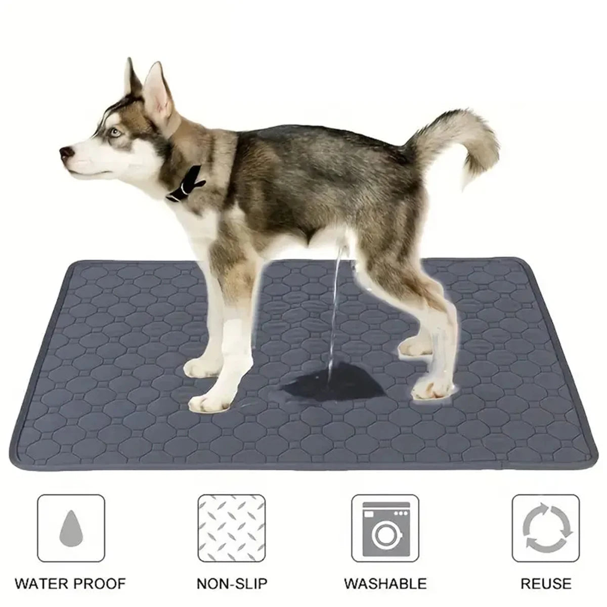 A dog standing on a gray reusable washable pet training mat with icons indicating waterproof, non-slip, washable, and reuse f