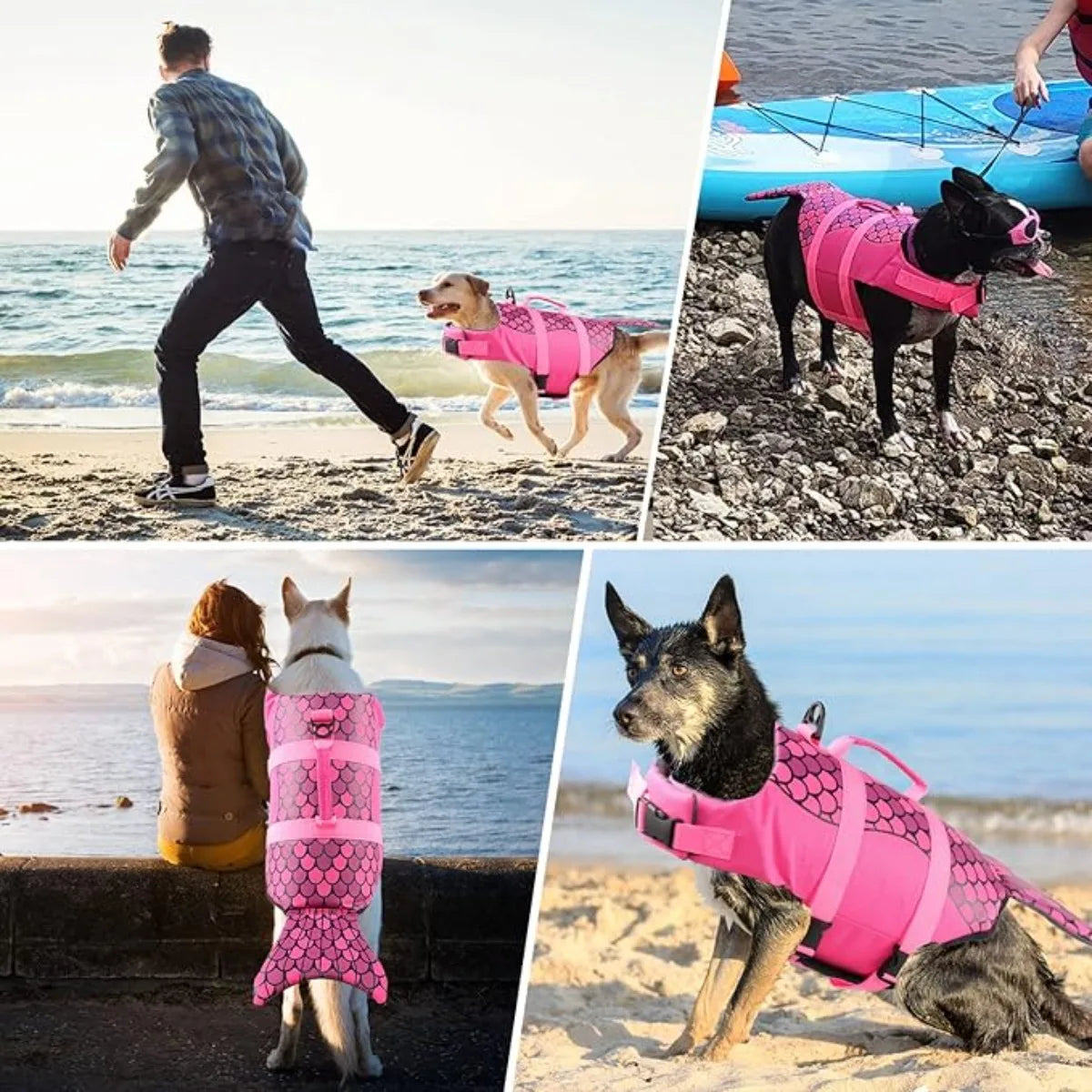 Ein schwarzer Hund mit einer leuchtend pinken Meerjungfrauen-Schwimmweste auf einem felsigen Strand.