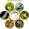 A white ceramic feeding and watering bowl surrounded by images of various reptile pets including a frog, lizard, gecko, torto
