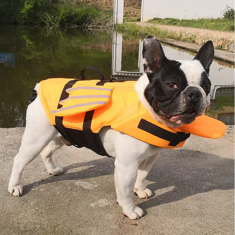 A white and black English Bulldog wearing a bright orange dog life jacket with a rescue handle.
