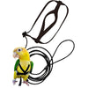 A yellow parrot is shown next to a black bird training harness and leash set.