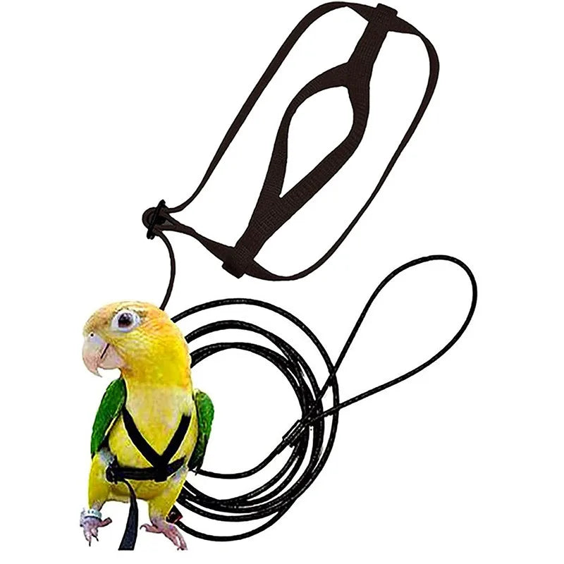 A yellow parrot is shown next to a black bird training harness and leash set.