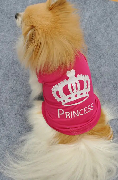 A fluffy puppy wearing a pink t-shirt with a white crown pattern.