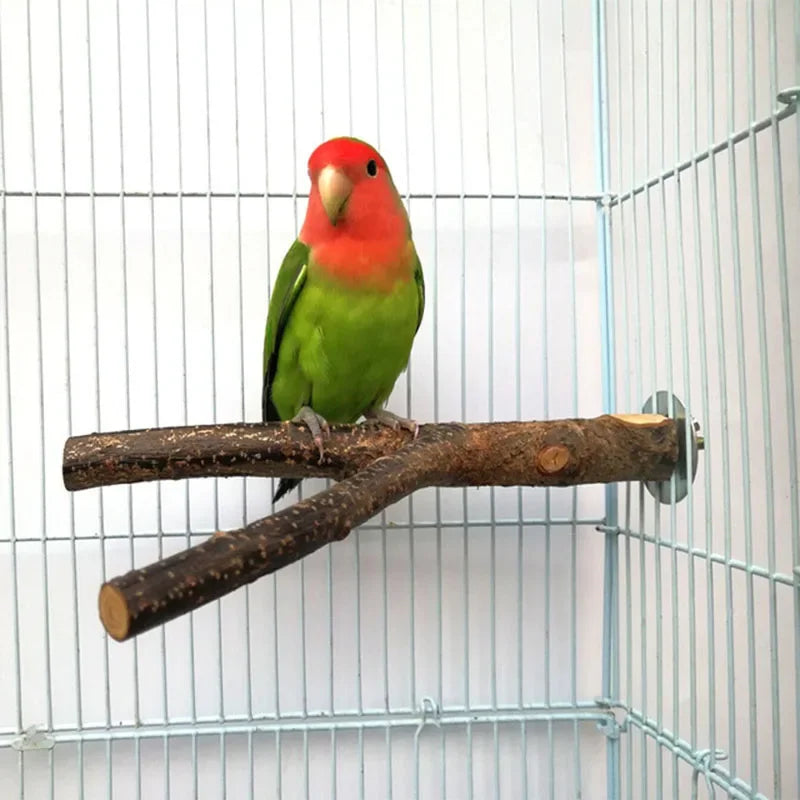 Un perroquet rouge vif et vert perché sur une perche en bois naturel dans une cage de fil.