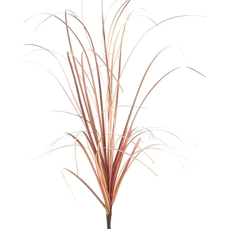 Gros plan sur un jardin miniature d'herbe d'oignon séchée avec des plumes brun-rougeâtre.