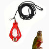 Rotes, verstellbares Papageihalter und Leine-Set mit schwarzem Seil und einem Papagei.