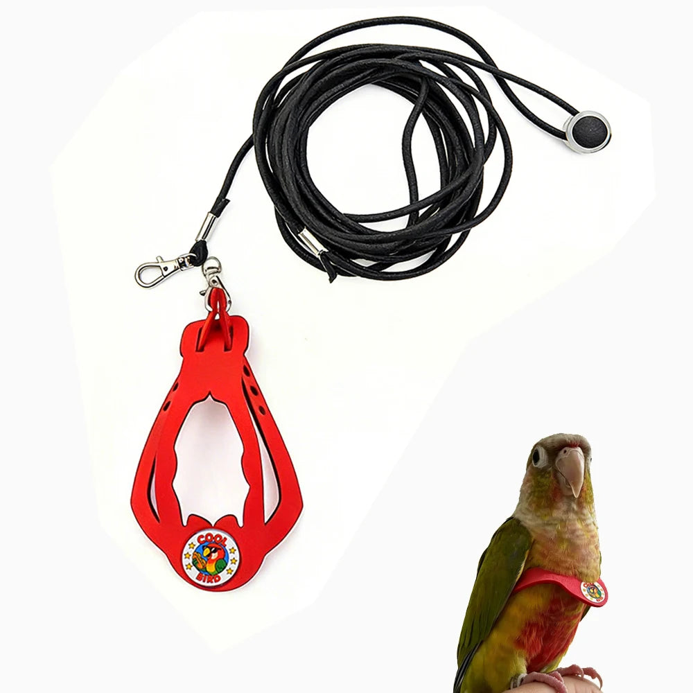 Rotes, verstellbares Papageihalter und Leine-Set mit schwarzem Seil und einem Papagei.