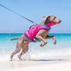 A dog wearing a pink life jacket is leaping through clear turquoise water on a sandy beach.