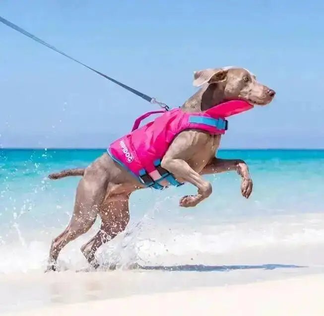 A dog wearing a pink life jacket is leaping through clear turquoise water on a sandy beach.