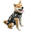 A small, light brown dog wearing a black and gray patterned breathable recovery suit.