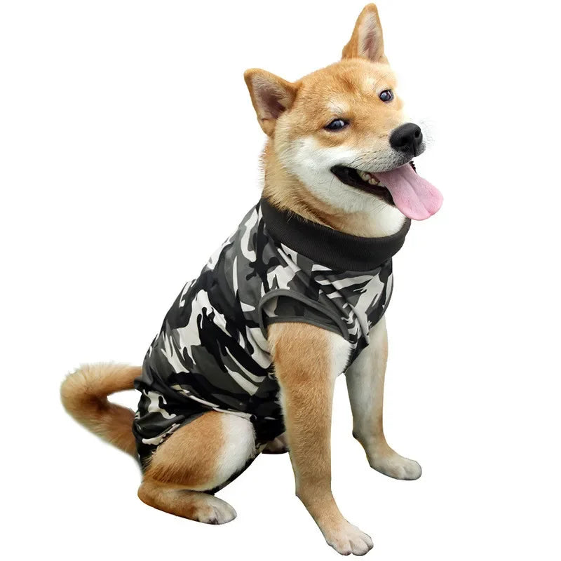 A small, light brown dog wearing a black and gray patterned breathable recovery suit.