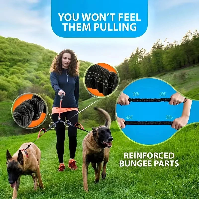 A dog is being pulled by a leash connected to a bungee system, demonstrating reinforced bungee parts.