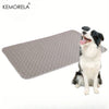 A dog is sitting on a gray, quilted reusable pet training pad.