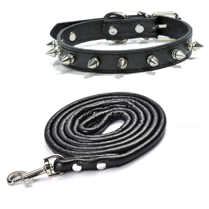 Black studded leather dog collar with metal rivets shown flat and coiled