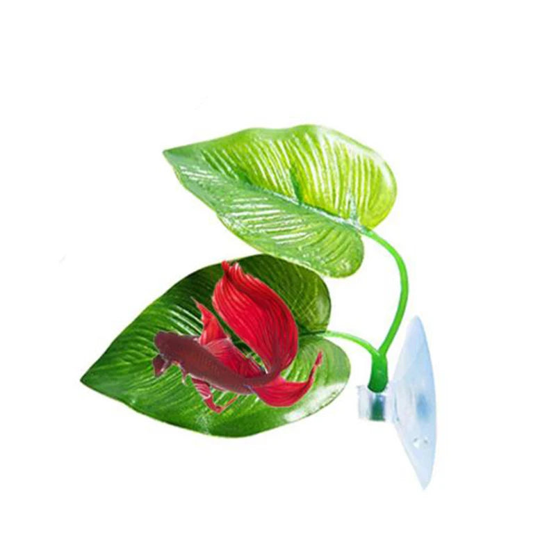 A vibrant green leaf used as a hammock for a betta fish, attached to a suction cup.