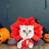 A white cat wearing a red adjustable vampire cape with gray accents.