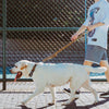 A white dog is walking on a paved surface while being led by a person using a heavy-duty tactical dog leash.
