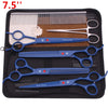 Schwarze durchsichtige Tasche mit Set aus Edelstahl-Grooming-Schere und -Kamm für Haustiere.