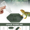 A green feeding dish and water feeder assembly for a bearded dragon or tortoise, showing steps for use.