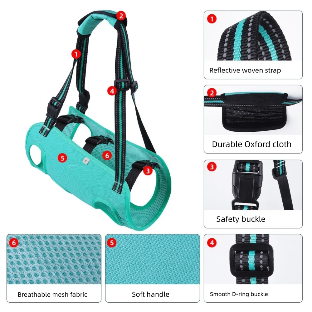 Arnés ajustable para mascotas en verde azulado y negro con asa de transporte y hebilla de seguridad mostrados por separado.