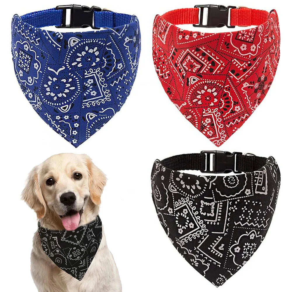 Drei Bandana-Halsbänder für Haustiere mit Paisley-Mustern in Blau, Rot und Schwarz an einem Hund.